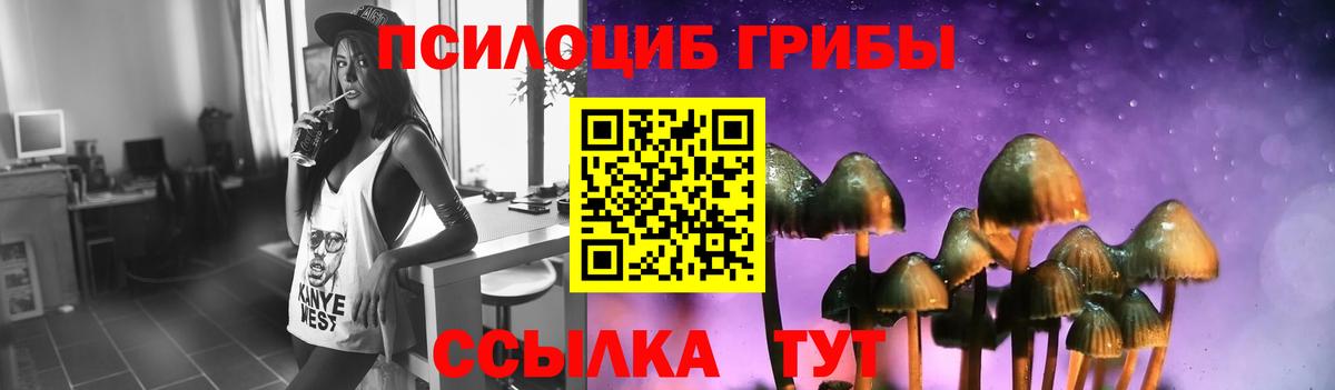 Псилоцибиновые грибы Psilocybine cubensis  Вход с VPN  Рубцовск  Псилоцибиновые грибы MAGIC MUSHROOMS 